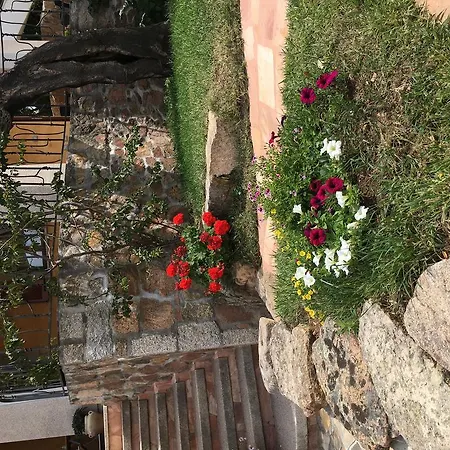 I Mari Di Gallura And 산테오도로