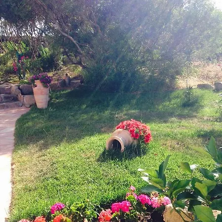 Bed & Breakfast I Mari Di Gallura And San Teodoro (Sardinia)