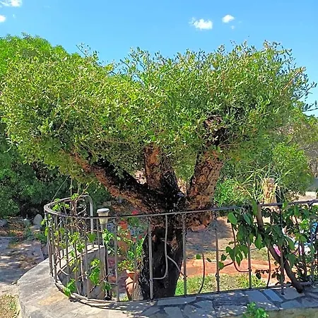 Bed & Breakfast I Mari Di Gallura And