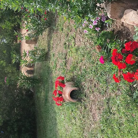 Bed & Breakfast I Mari Di Gallura And *